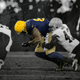 Illustration for article titled Its Too Soon To Say That Jermichael Finley Is Going To Be Fine